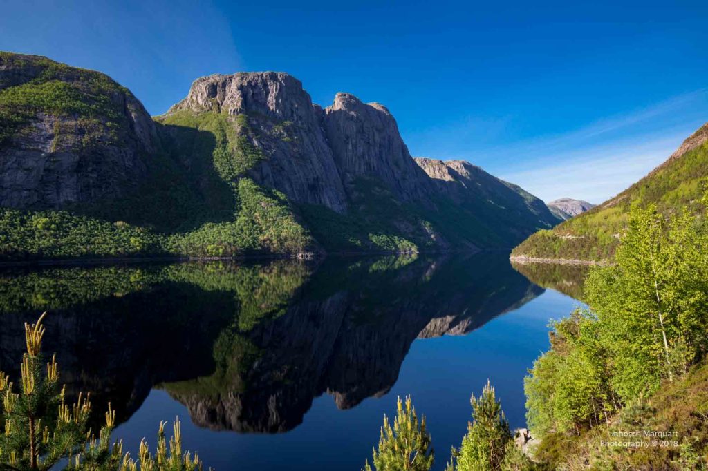 Foto eines bewachsenen Berges mit Spiegelung im Fjord.