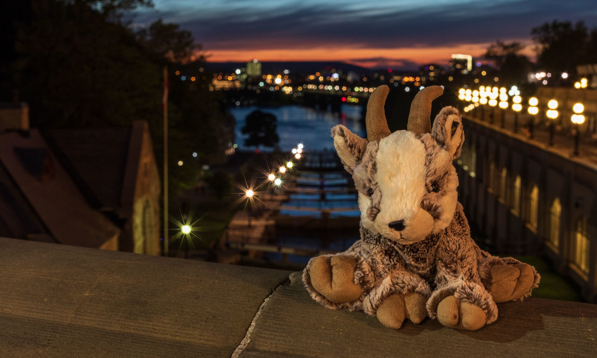 Balznerbock sitzt in der Nacht auf der Mauer. Im Hintergrund der Kanal von Ottawa.