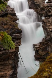 Foto der Althabasca Falls in Jasper.