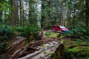 Unser Campervan im Regenwald von British Columbia.