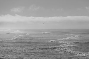 Wellen im Pazifik