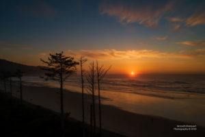 Sonnenuntergang über dem Pazifik mit Bäumen im Vordergrund