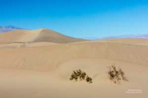 Sanddünenfeld im Death Valley